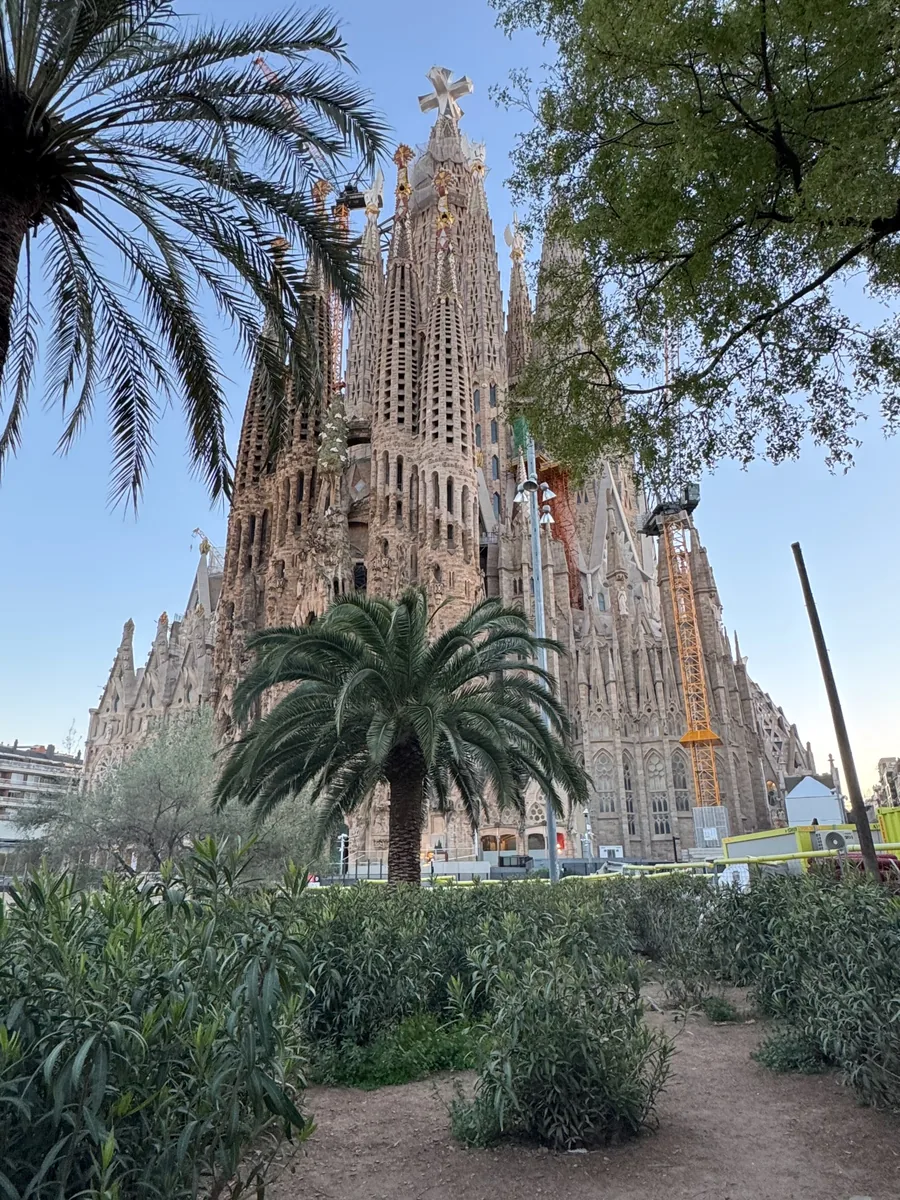 Spires with rounded finials rising above a park with palms in front.